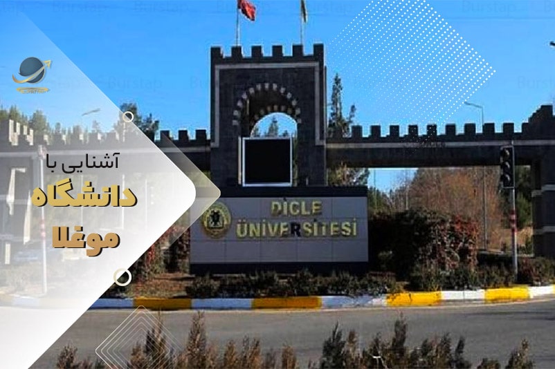 دانشگاه دجله ترکیه
