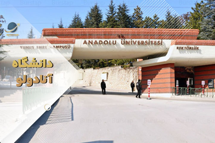 دانشگاه آنادولو